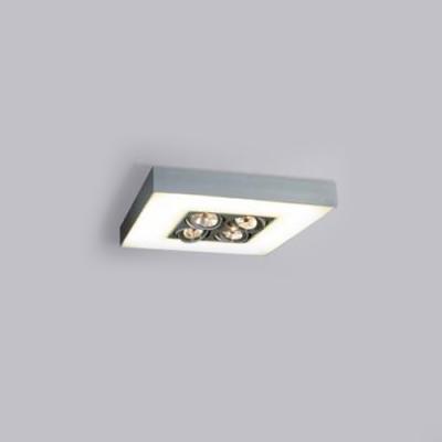 12832 FLAT Потолочный светильник (Wever )